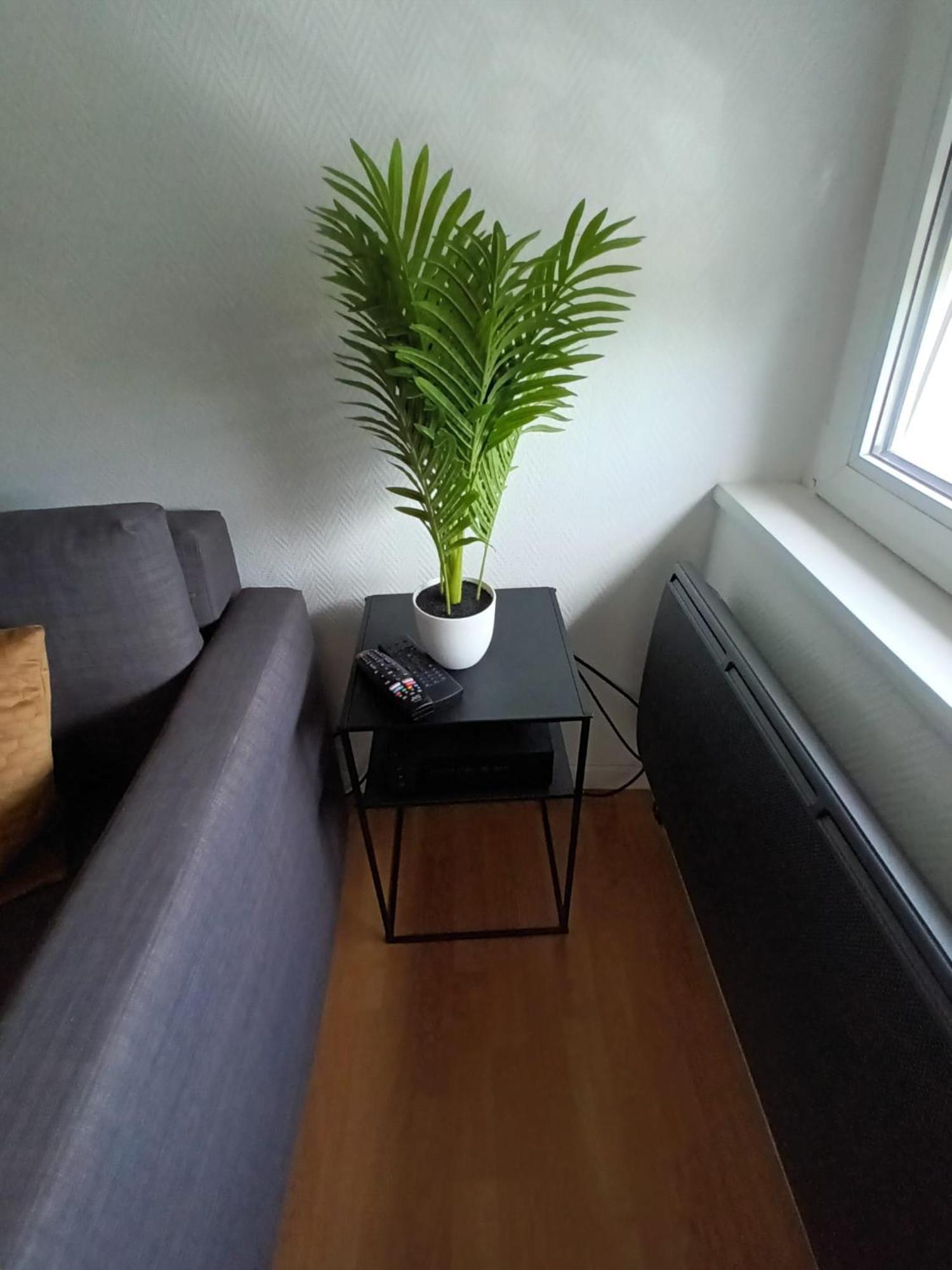 Appartement Bel Apparetement 2 Pieces En Centre-ville De Mulhouse